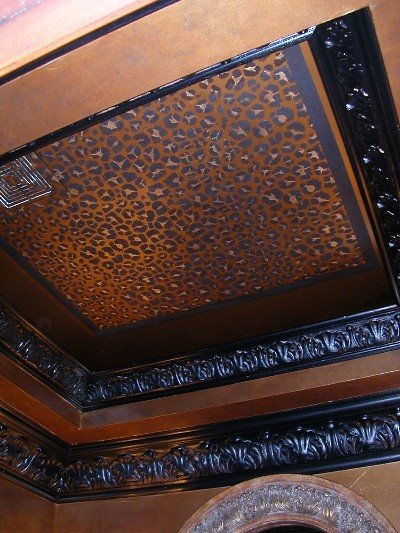Cheetah Painting Ceilings | Magic Brush
