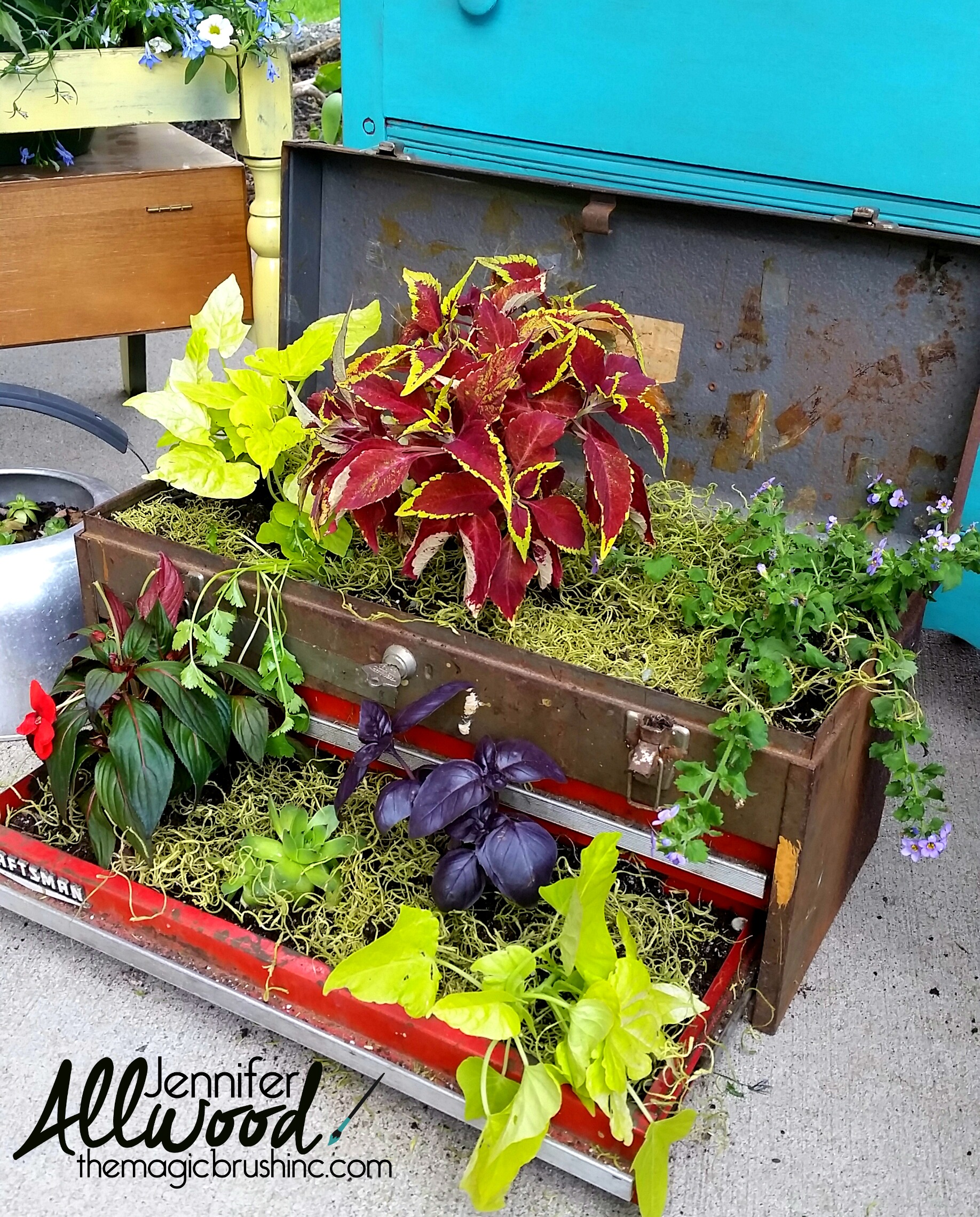 10 creative container ideas …. for people who love the container more than the growing!
