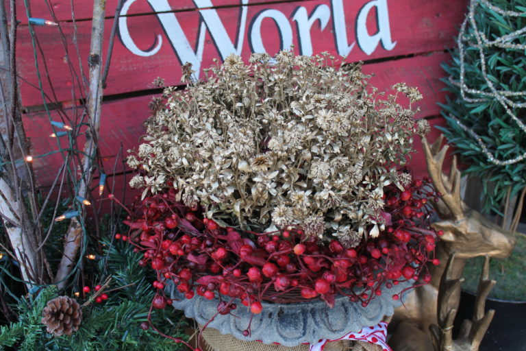 Spray Painted Mums Add Christmas Sparkle To The Porch Magic Brush   IMG 7482 768x512 