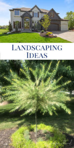 easy landscaping ideas